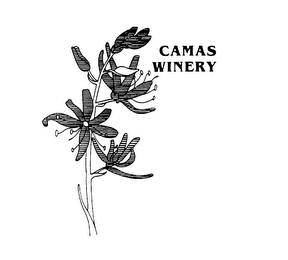 CAMAS WINERY