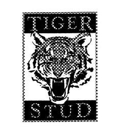 TIGER STUD