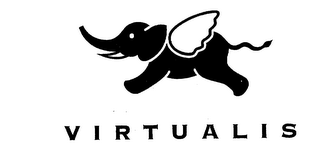 VIRTUALIS