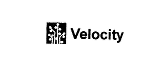 VELOCITY
