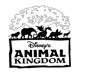 DISNEY'S ANIMAL KINGDOM