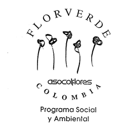 FLORVERDE ASOCOLFLORES COLOMBIA PROGRAMA SOCIAL Y AMBIENTAL