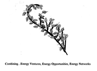 COMBINING...ENERGY VENTURES, ENERGY OPPORTUNITIES, ENERGY NETWORKS