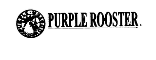 PURPLE*ROOSTER PURPLE ROOSTER