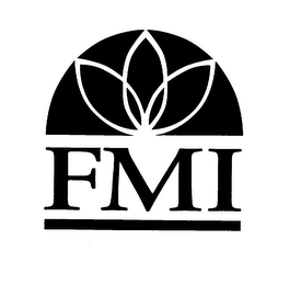 FMI