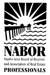 NABOR NAPLES AREA BOARD OF REALTORS ANDASSOCIATION OF REAL ESTATE PROFESSIONALS