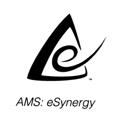 AMS: ESYNERGY