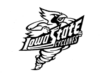 IOWA STATE CYCLONES