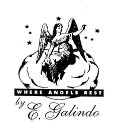 WHERE ANGELS REST BY E. GALINDO