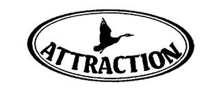 ATTRACTION
