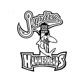 JUPITER HAMMERHEADS