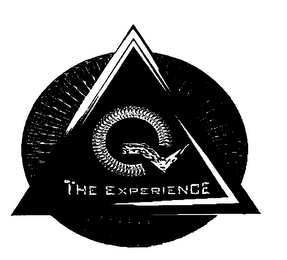 Q THE EXPERIENCE