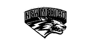 NEW MEXICO