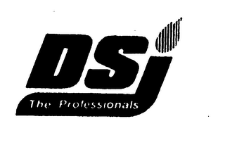DSI THE PROFESSIONALS