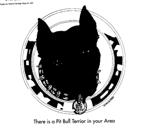 THERE IS A PIT BULL TERRIOR IN YOUR AREA PITT. CITY NNJ PITT CITY