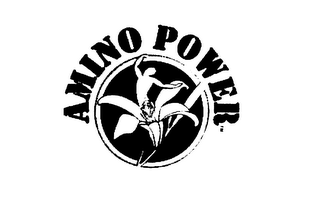 AMINO POWER