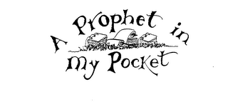 A PROPHET IN MY POCKET
