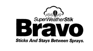 BRAVO SUPERWEATHERSTIK STICKS AND STAYSBETWEEN SPRAYS.