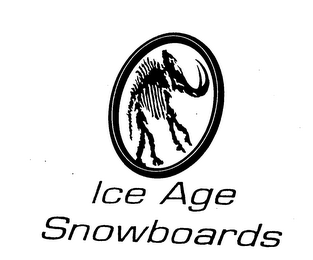 ICE AGE SNOWBOARDS