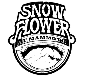 SNOW FLOWER AT MAMMOTH