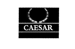 CAESAR