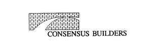 CONSENSUS BUILDERS