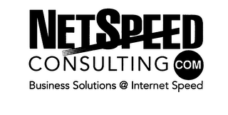 NETSPEED CONSULTING COM BUSINESS SOLUTIONS @ INTERNET SPEED