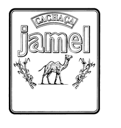 JAMEL CACHACA