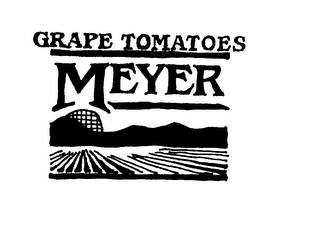 FRESH TOMATOES MEYER