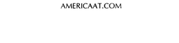 AMERICAAT.COM, LLC