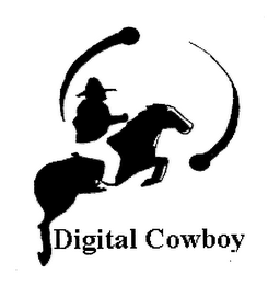 DIGITAL COWBOY