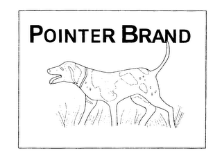 POINTER BRAND