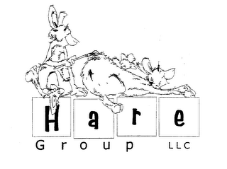 HARE GROUP LLC