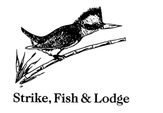 STRIKE, FISH & LODGE