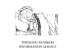 THINKING NUMBERS INFORMATION SERVICE