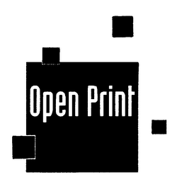 OPEN PRINT