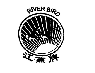 RIVER BIRD