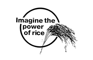 IMAGINE THE POWER OF RICE