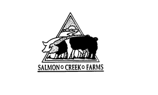 SALMON CREEK FARMS