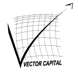 VECTOR CAPITAL