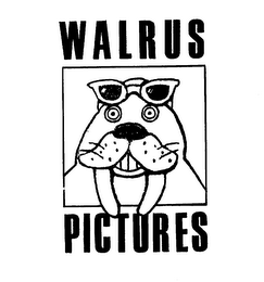 WALRUS PICTURES