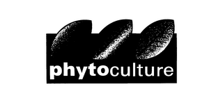 PHYTOCULTURE