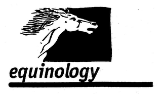 EQUINOLOGY