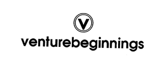 V VENTURE BEGINNINGS