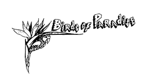 BIRDS OF PARADISE