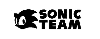 SONIC TEAM