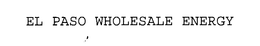 EL PASO WHOLESALE ENERGY