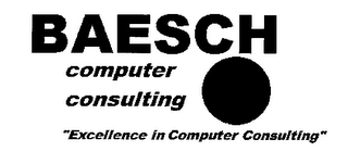 BAESCH COMPUTER CONSULTING "EXCELLENCE IN COMPUTER CONSULTING"