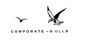 CORPORATE - GULLS