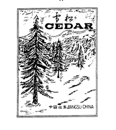 CEDAR JIANGSU CHINA